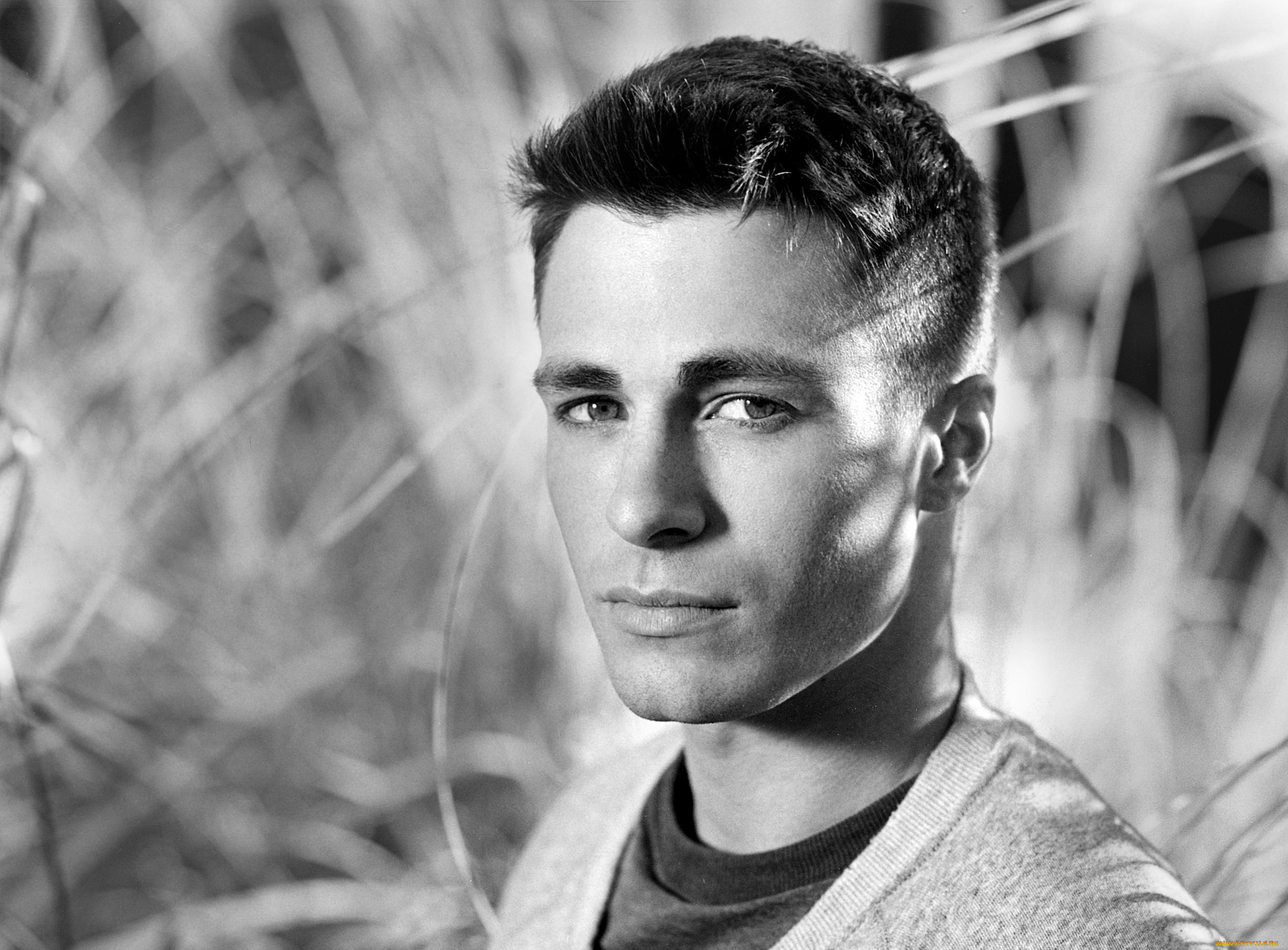 , colton haynes, colton, haynes